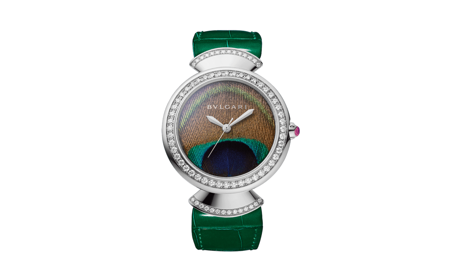 Divas’ Dream Watch 103885