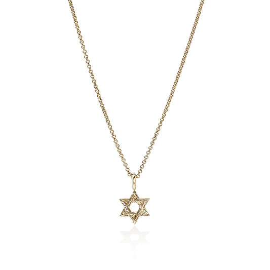 jh-essential-star-of-david-necklace-gold-ngg989399