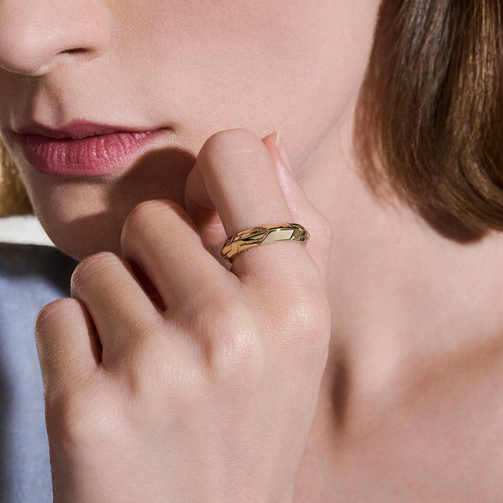 icon-50-band-ring-gold-5mm-rmgg98840