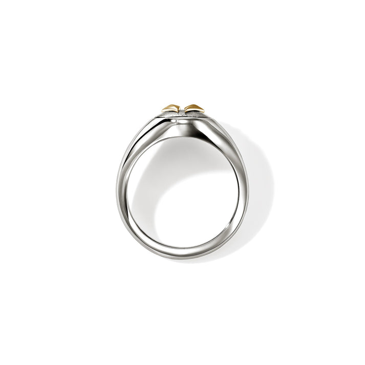 split-gate-signet-ring-gold-sterling-silver-rmzz98851
