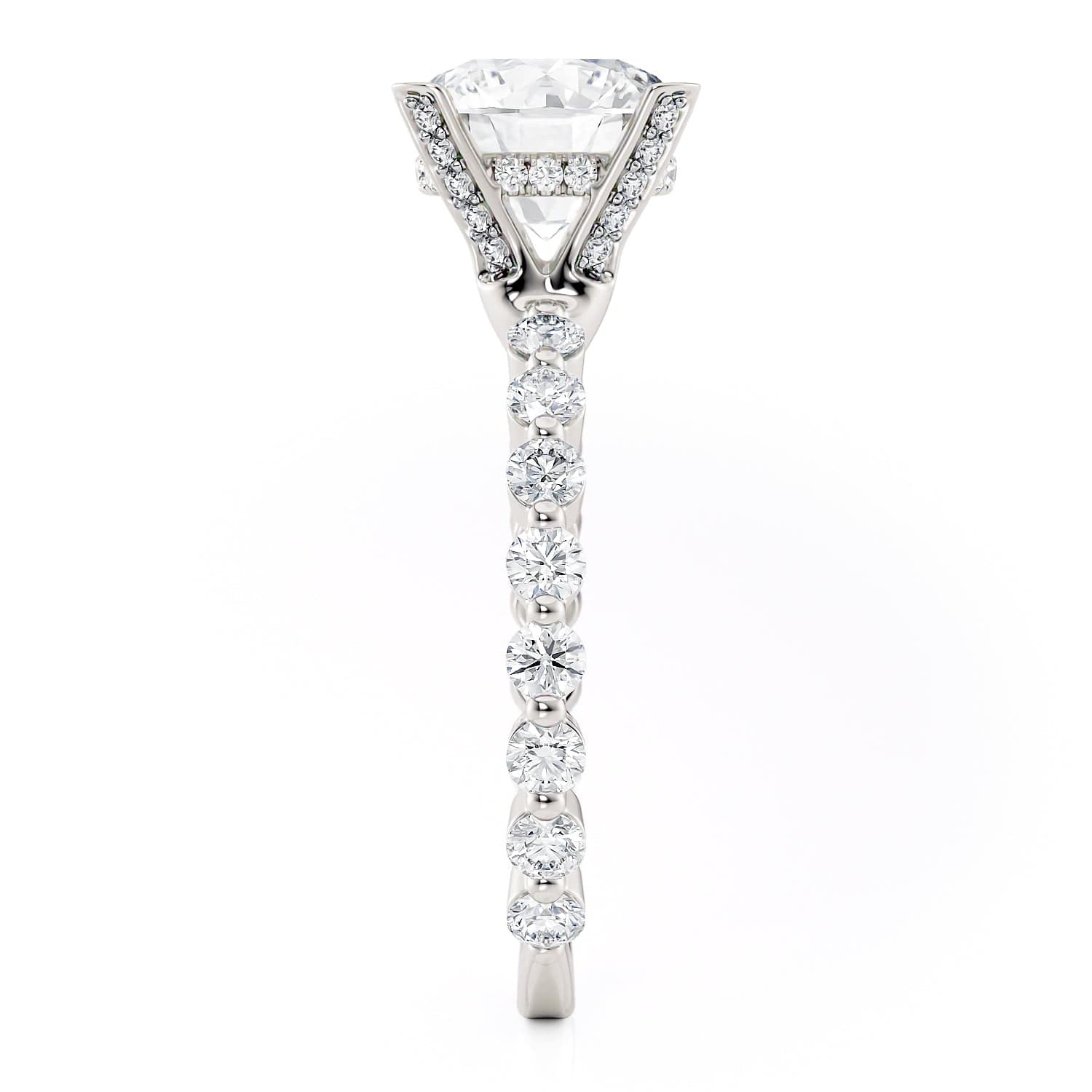 MICHAEL M Crown R791-2